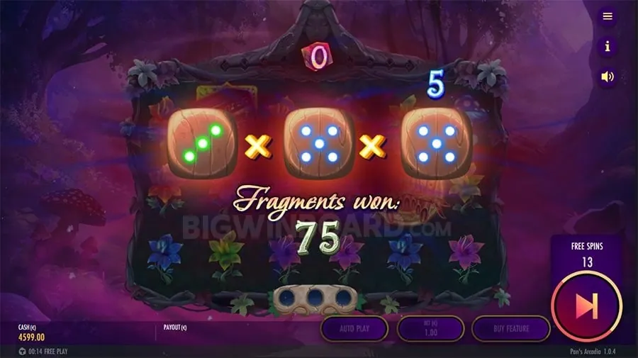 Guide to Live Casino Experience